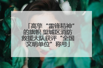 高擎“雷锋精神”的旗帜 望城区消防救援大队获评“全国文明单位”称号