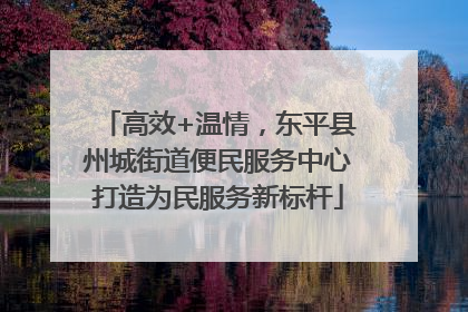 高效+温情，东平县州城街道便民服务中心打造为民服务新标杆