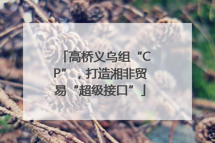 高桥义乌组“CP”，打造湘非贸易“超级接口”