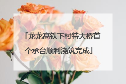 龙龙高铁下村特大桥首个承台顺利浇筑完成