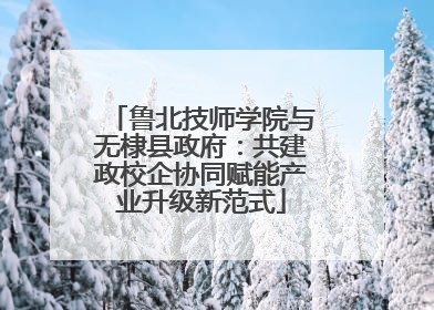 鲁北技师学院与无棣县政府：共建政校企协同赋能产业升级新范式