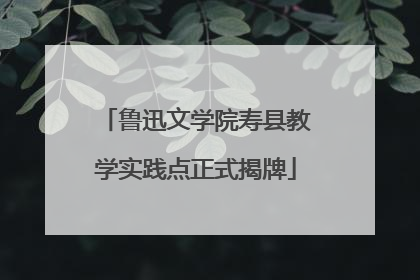 鲁迅文学院寿县教学实践点正式揭牌