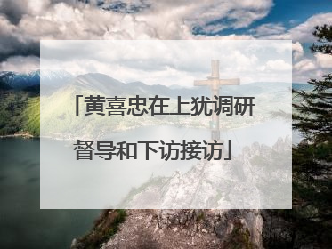 黄喜忠在上犹调研督导和下访接访