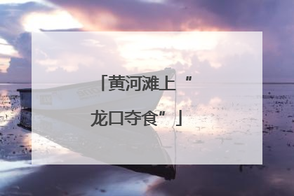 黄河滩上“龙口夺食”