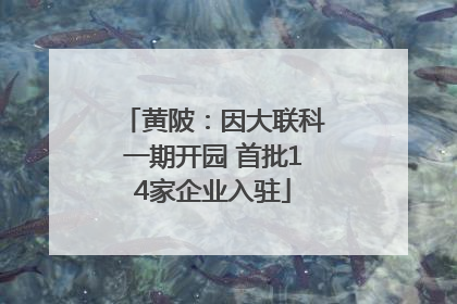 黄陂：因大联科一期开园 首批14家企业入驻