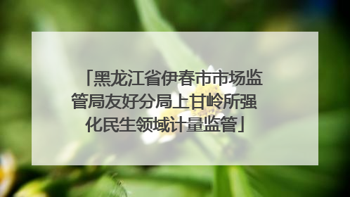 黑龙江省伊春市市场监管局友好分局上甘岭所强化民生领域计量监管