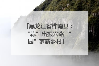黑龙江省桦南县：“蒜”出振兴路 “园”梦新乡村