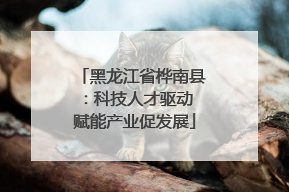 黑龙江省桦南县：科技人才驱动 赋能产业促发展