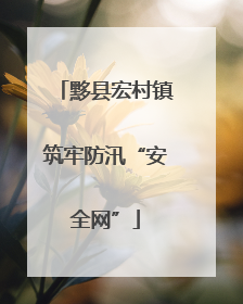 黟县宏村镇筑牢防汛“安全网”