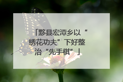 黟县宏潭乡以“绣花功夫”下好整治“先手棋”