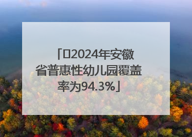 ﻿2024年安徽省普惠性幼儿园覆盖率为94.3%