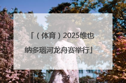 （体育）2025维也纳多瑙河龙舟赛举行