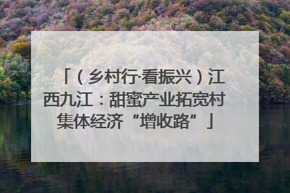（乡村行·看振兴）江西九江：甜蜜产业拓宽村集体经济“增收路”