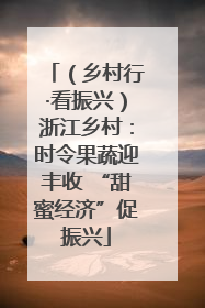 （乡村行·看振兴）浙江乡村：时令果蔬迎丰收 “甜蜜经济”促振兴