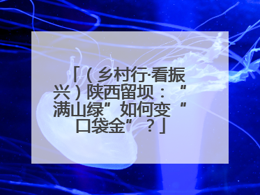 （乡村行·看振兴）陕西留坝：“满山绿”如何变“口袋金”？