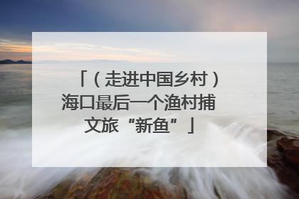 （走进中国乡村）海口最后一个渔村捕文旅“新鱼”
