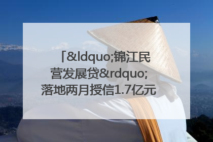 “锦江民营发展贷”落地两月授信1.7亿元，惠及118家民企