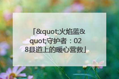 "火焰蓝"守护者：028县道上的暖心营救