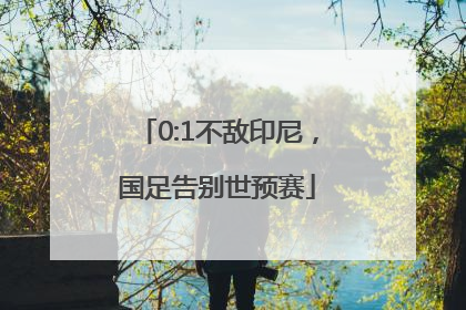 0:1不敌印尼，国足告别世预赛