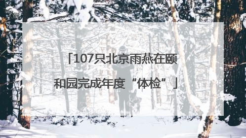 107只北京雨燕在颐和园完成年度“体检”