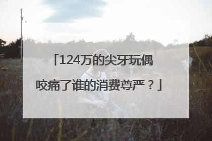 124万的尖牙玩偶 咬痛了谁的消费尊严？