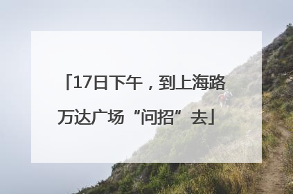 17日下午，到上海路万达广场“问招”去