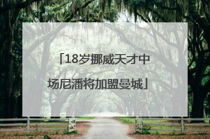 18岁挪威天才中场尼潘将加盟曼城