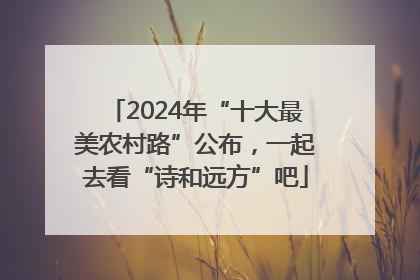 2024年“十大最美农村路”公布，一起去看“诗和远方”吧