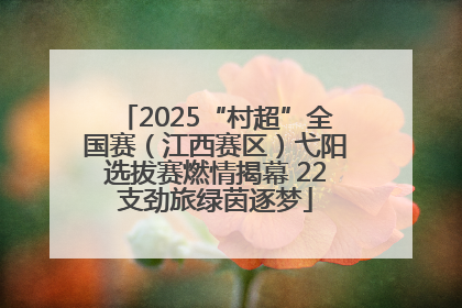 2025“村超”全国赛（江西赛区）弋阳选拔赛燃情揭幕 22支劲旅绿茵逐梦