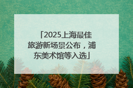 2025上海最佳旅游新场景公布，浦东美术馆等入选