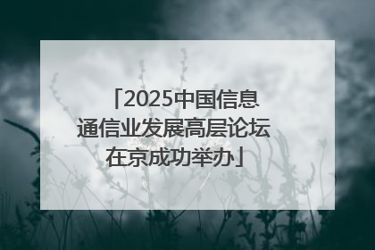 2025中国信息通信业发展高层论坛在京成功举办