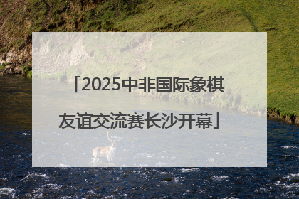 2025中非国际象棋友谊交流赛长沙开幕