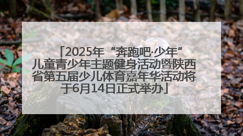 2025年“奔跑吧·少年”儿童青少年主题健身活动暨陕西省第五届少儿体育嘉年华活动将于6月14日正式举办