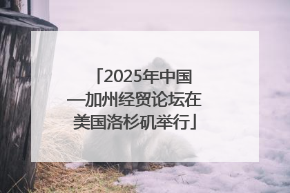 2025年中国—加州经贸论坛在美国洛杉矶举行