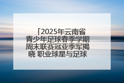 2025年云南省青少年足球春季学期周末联赛冠亚季军揭晓 职业球星与足球小将共享荣耀时刻