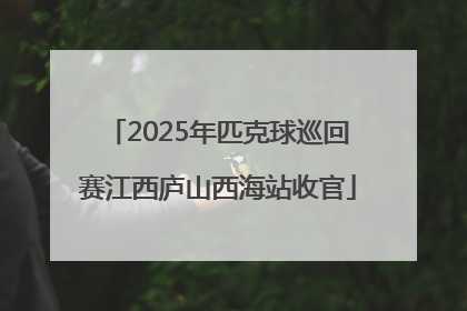 2025年匹克球巡回赛江西庐山西海站收官