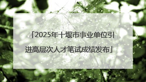 2025年十堰市事业单位引进高层次人才笔试成绩发布