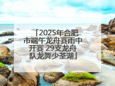 2025年合肥市端午龙舟赛雨中开赛 29支龙舟队龙舞少荃湖