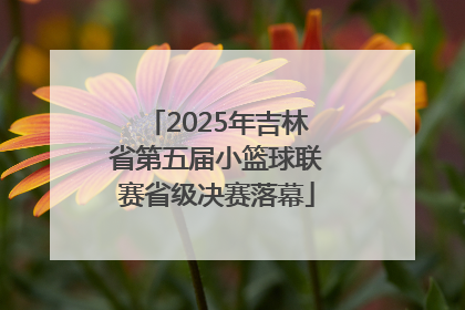 2025年吉林省第五届小篮球联赛省级决赛落幕