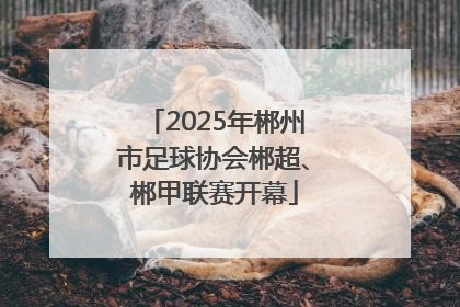 2025年郴州市足球协会郴超、郴甲联赛开幕