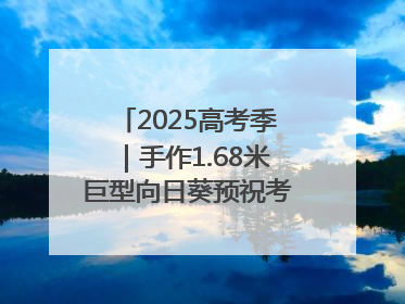 2025高考季｜手作1.68米巨型向日葵预祝考生“一举夺魁”