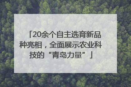 20余个自主选育新品种亮相，全面展示农业科技的“青岛力量”