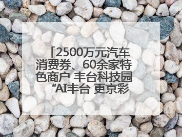 2500万元汽车消费券、60余家特色商户 丰台科技园“AI丰台 更京彩”未来玩家市集活动正式开幕