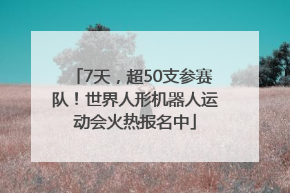 7天，超50支参赛队！世界人形机器人运动会火热报名中