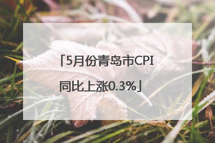 5月份青岛市CPI同比上涨0.3%