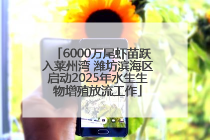 6000万尾虾苗跃入莱州湾 潍坊滨海区启动2025年水生生物增殖放流工作