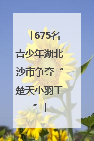 675名青少年湖北沙市争夺“楚天小羽王”