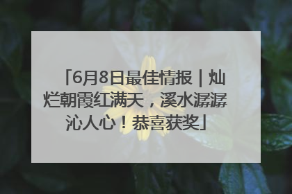 6月8日最佳情报｜灿烂朝霞红满天，溪水潺潺沁人心！恭喜获奖