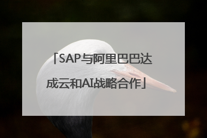 SAP与阿里巴巴达成云和AI战略合作